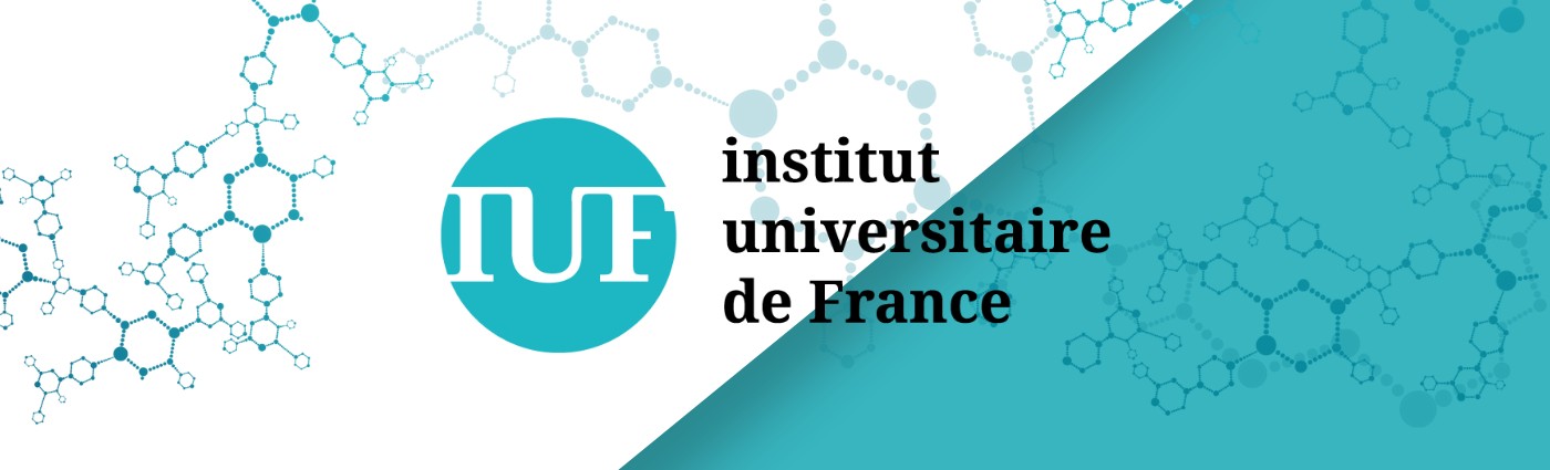 INSTITUT UNIVERSITAIRE DE FRANCE