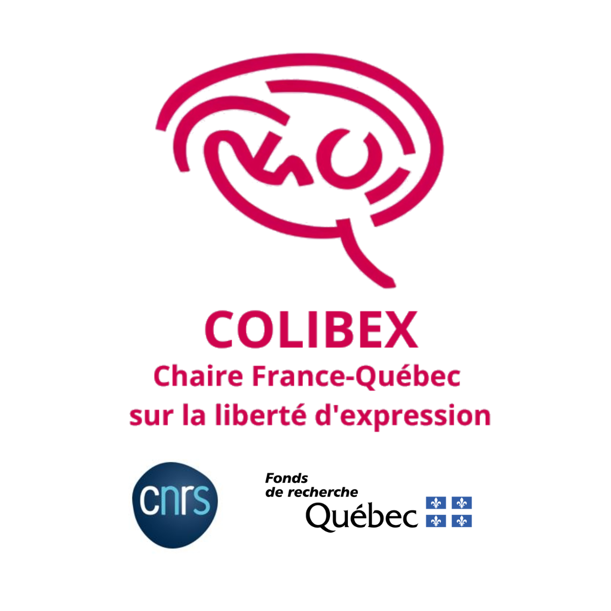 Chaire Colibex